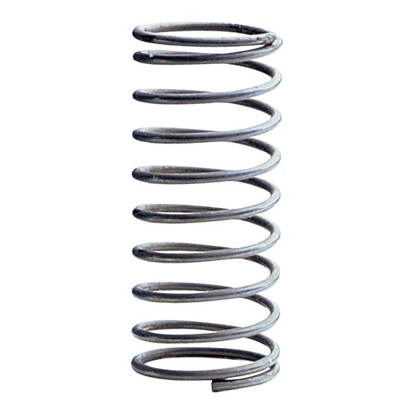 Valve spring