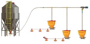 Feed Line Diagram